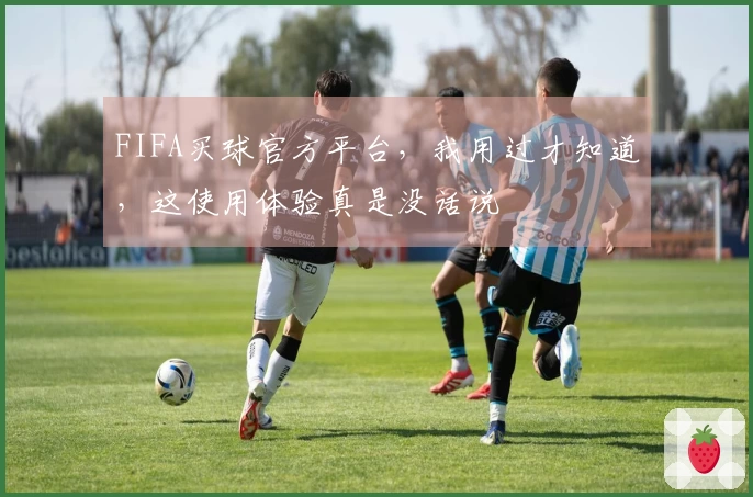 FIFA买球官方平台，我用过才知道，这使用体验真是没话说
